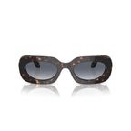 Armani Brown Acetate Sunglasses